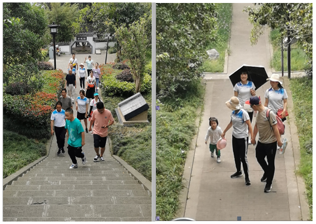 微信截图_20210602154448