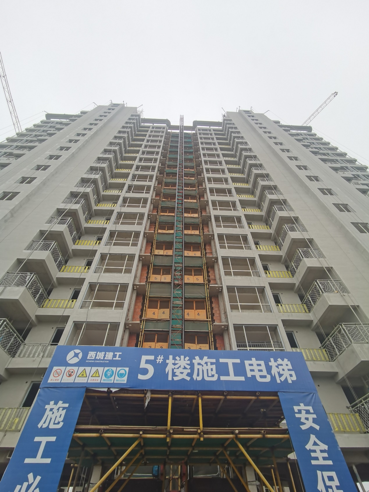 图片11