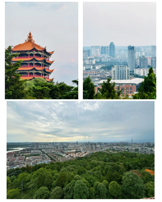 14dc844c44ca9bf329d0449525d6ab1