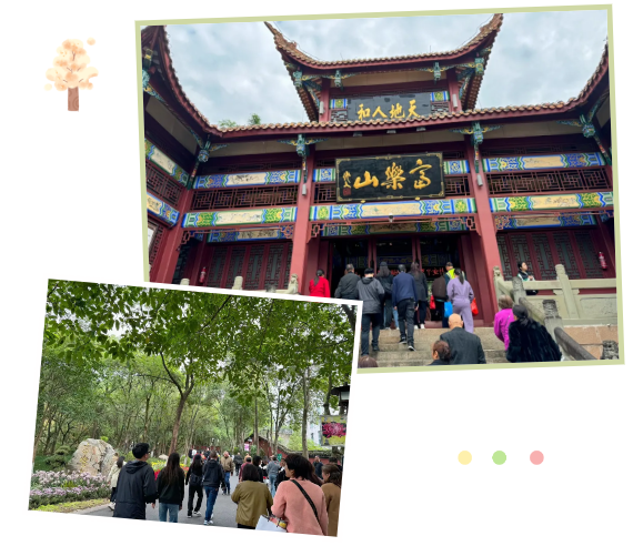 79ec95d31b3a362a31529c23b9472a6